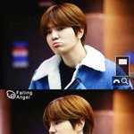 [인피니트] 너네 지금뭐먹고싶어