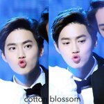 [EXO] 경기도도 차대절됨? 안되잖아