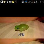 네네<b>스노</b>윙먹고싶다