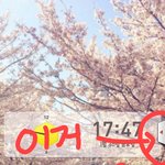 [없애주라] <b>베가</b>쓰는사람 들어와바