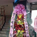 [걸스데이] 걸스데이와 에이핑크