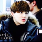 [수호] 150131 수호 <b>김포</b>공항 프리뷰 