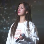 [에이핑크] <b>보미</b>가 단콘에서 한말...