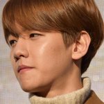 [EXO] 백줌 댓글 꼬박꼬박 다는거 졸라 웃기네ㅋㅋㅋㅋㅋ