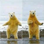 [EXO] 우리강아지이름도별이