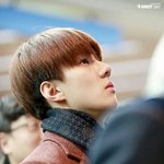 [EXO] 공학에서 여자애들 평가한다
