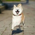 [EXO] 학교 버스만해도 1시간걸림