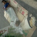 언론이 숨기고~ 절대 말 안해주는코피노의 진실 !!!!!