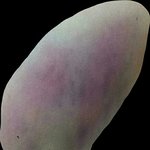 [EXO] +추가)오빠가<b>한</b>대맞으면십만원준대서