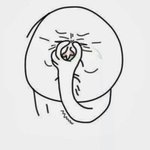 [EXO] 너넨 단콘 가고싶다고 절실하게 생각할때가 언제임?