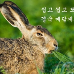 [exo] <b>엑셀</b>여러분 유용한 짤을 찾았어요!
