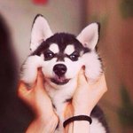 [EXO] 응가싸면서 <b>판질</b>이짱인데