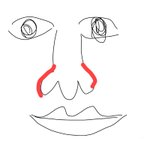<b>코</b><b>옆</b>화장끼임