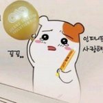 [인피니트] 잉톡 공지 만들자
