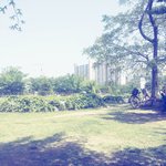 [EXO] <b>집앞</b>에 공원인데 예쁘지