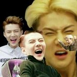 [EXO] 알람 무슨노래로 하고잘까