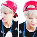[EXO] 근데 진짜로 <b>허브</b>솔트가 더 맛있음