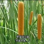 [EXO] 아육대 후기보는데 참 돈없으면