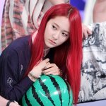 [EXO] 니들 수호랑 크리스탈 사귄거 앎???