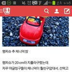 [EXO] 아~~까 인형추반해달라구한앤데..