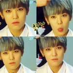 [BAP] ㅅㄷ)kaka5톡 