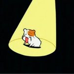 [exo] <b>양도</b>해줄사람없녀