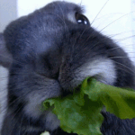 [EXO] 이거 <b>식곤증</b> 맞지?.