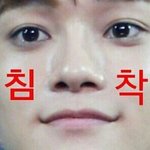 [EXO] 뭔가 자라면서 생일에