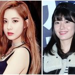 잘나가는 강아지상 연예인 모아봄!