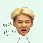 [EXO] 내프사로 일코<b>해제</b>해버렸음.........