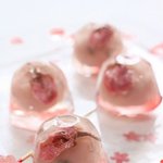 젤리(<b>or</b> 젤로) 요리들