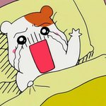[EXO] 미친 애들 늑미때 컴백예고모음좀봐 ㅠㅠㅠㅠㅠㅠㅠㅠㅠㅠㅠㅠ