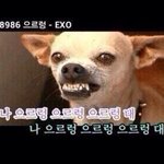 [EXO] 께는 모르겠는 데 때는