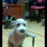 [EXO] 아ㅅㅂ진짜;;;;