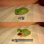 [EXO] 지금 뉴비가 중요하냐