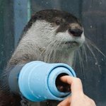 [EXO] 난 베네1딕트 컴1버<b>배치</b> 사랑함