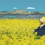 여자들이 <b>옆</b> 안보고 걷는 진짜 이유