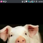 [EXO] 낸 <b>입덧</b>하는척하다가 엄마한테 쳐맞음