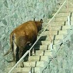 [EXO] 난집에서혼자폰보고있는데<b>진동</b>울림