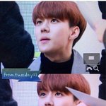 [EXO] 스엠 이번에 이 둘은 ㄹㅇ <b>정상적</b>인 머리로 바꿔놔라