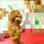 이거 진심 뭘로 보임??