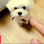 [EXO] 와 캔디겁나많이컸다ㅋㅋㅋㅋㅋㅋㅋ