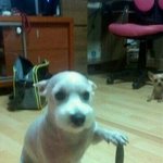 [EXO] 내가 허언증년 썰 풀게