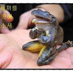 내가미식가의 오빠 <b>성씨</b>를맞춰보마