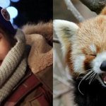 [EXO] 헐 얘들아