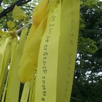 거짓과진실