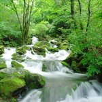 (어머니하나님,하나님의교회)생명수를 받으라~