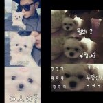 [EXO] <b>캔디</b>야 언니화날려고해