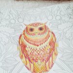 [EXO] 내 <b>부엉이</b> 어때