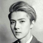 [EXO] 엑소에서 유일한 <b>자연</b>미남은?